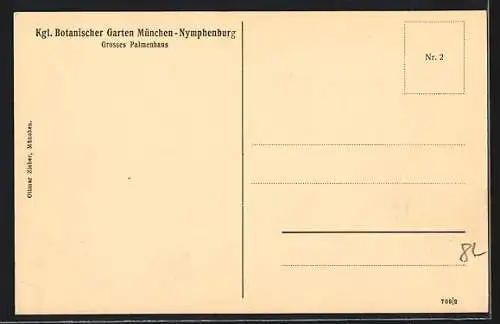 AK München-Nymphenburg, Kgl. Botanischer Garten, Grosses Palmenhaus, Innenansicht