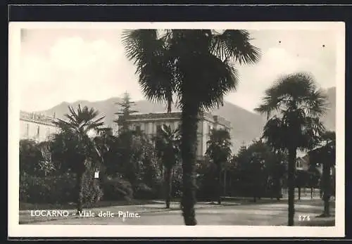 AK Locarno, Viale delle Palme