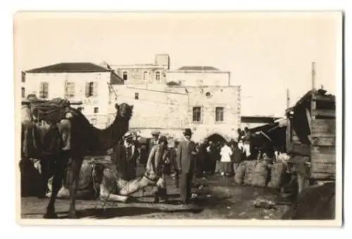 13 Fotografien Ansicht Syrien, Tripolis, Italienische Besatzung & Einheimische, Kriegsschiffe in Syracus & Frascati u.a.