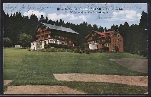 AK Freudenstadt, Waldhotel und Cafe Stokinger