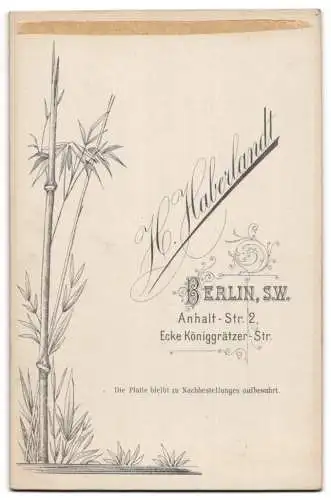 Fotografie H. Haberlandt, Berlin, Anhaltstrasse 2, Kleines Kind auf blumigem Sessel sitzend