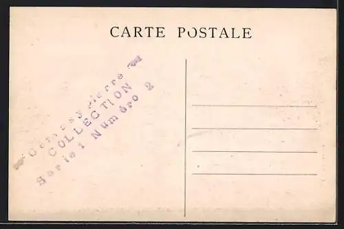 AK Colmars-les-Alpes, Fort de Savoie