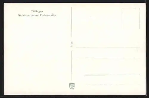 AK Tübingen, Neckarpartie mit Plantanenallee