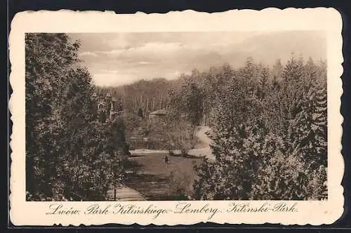 AK Lemberg, Blick in den Kilinski-Park