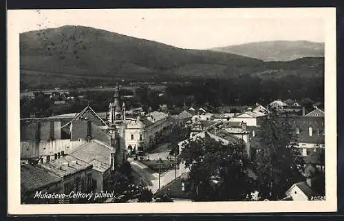 AK Mukacevo, Celkovy pohled