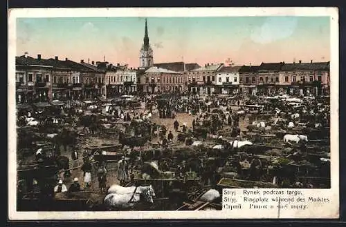 AK Stryj, Ringplatz während des Marktes, Pferdekutschen