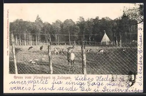 AK Zofingen, Gehege im Hirschpark