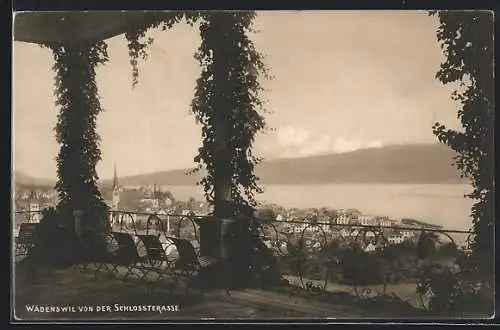 AK Wädenswil, Blick von der Schlossterrasse