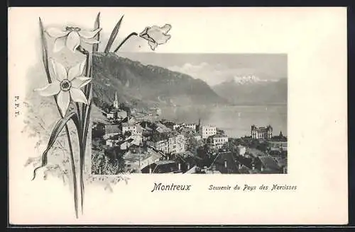 AK Montreux, Panorama, Narcisses