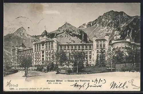 AK Caux, Palace Hotel