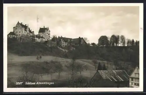 AK Altenklingen, Blick zum Schloss