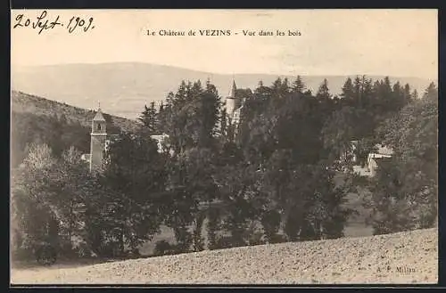 AK Vezins, Le Château, Vue dans les bois