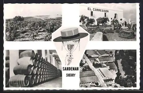 AK Jerez de la Frontera, Bodega Sandemann, Sherryherstellung