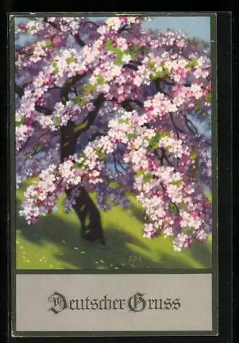 Künstler-AK Meissner & Buch (M&B) Nr. 2347: Blühender Baum, Namenstagsgruss