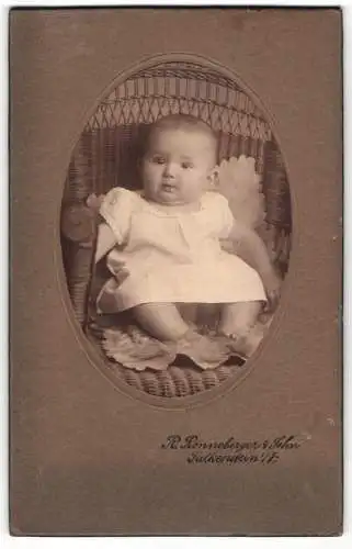 Fotografie R. Ronneberger & Sohn, Falkenstein, Kleines Baby in einem Korbsessel