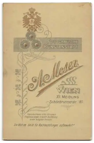 Fotografie Atelier Moser, Wien, Schönbrunnerstr. 161, Dame in elegantem Kleid neben kunstvollem Stuhl