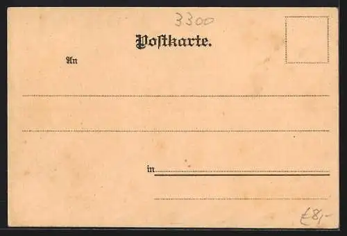 Lithographie Braunschweig, Der Dom, Lessingdenkmal, Gewandhaus, Kohlmarkt