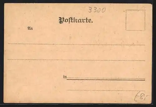 Lithographie Braunschweig, Totalansicht, am Lessing-Denkmal, an der Löwensäule