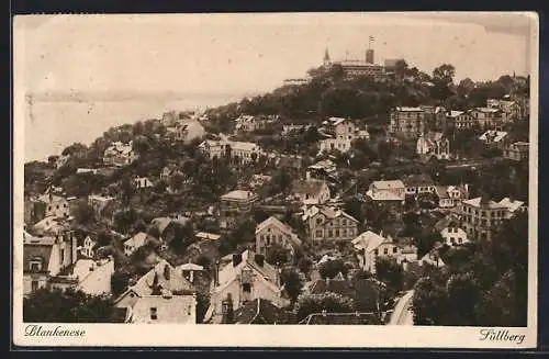 AK Hamburg-Blankenese, Panorama mit Süllberg und Wasserblick mit Dampfern