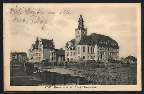 AK Werl, Gymnasium und Convict Aloisianum