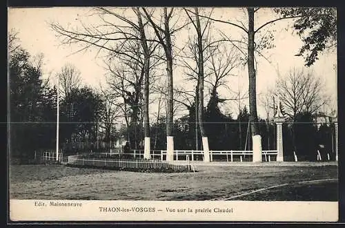 AK Thaon-les-Vosges, Vue sur la prairie Claudel