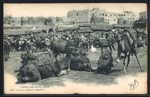 AK Tanger, Camellos en el Soco