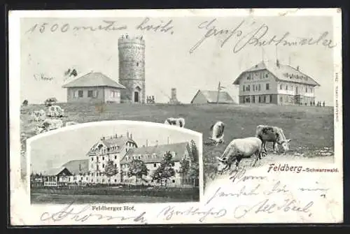 Lithographie Feldberg / Schwarzwald, Hotel Feldberger Hof, Gasthaus zum Feldbergturm