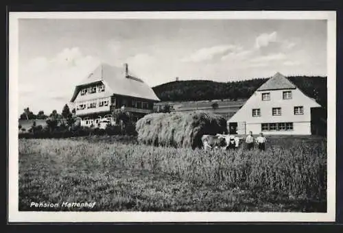 AK Schluchsee, Pension Mattenhof