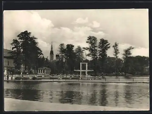 AK Freiberg i. Sa., Johannisbad mit Sprungturm