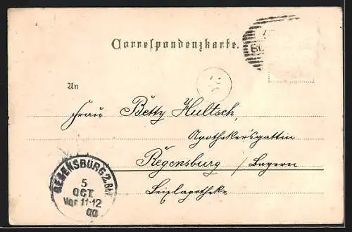 AK Bozen, Johannisplatz mit Kirche und Waltherdenkmal