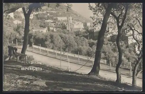 AK Ospedaletti, Panorama