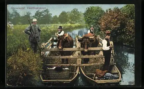 AK Viehtransport im Spreewald mit Bauern in Trachten