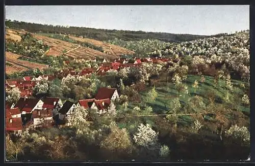 AK Strümpfelbach, Gesamtansicht zur Kirchscnblüte