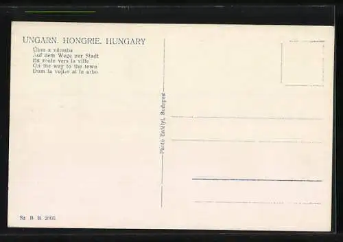 AK Úton a városba, Ungaren in einer Pferdekutsche