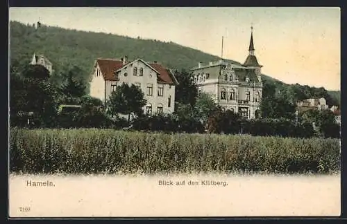 AK Hameln, Villenpartie am Klütberg