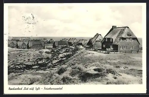 AK List /Sylt, Feischwassertal, Ortsansicht