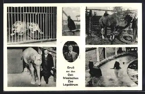 AK Logabirum, Zoo, Löwen, Elefant, Kamel, Seelöwen, Papagei