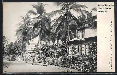 AK Sierra Leone, Peninsula, Cocoa-Nut Avenue