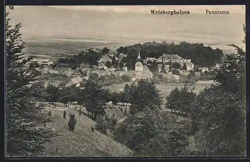 AK Wrisbergholzen, Ortsansicht mit Umgebung aus der Vogelschau