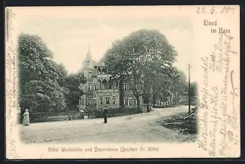 AK Elend im Harz, Hotel Waldmühle Fr. Witte mit Strasse