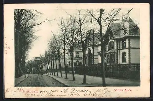 AK Flensburg, Strassenpartie in der Stuhrs Allee, mit Villen