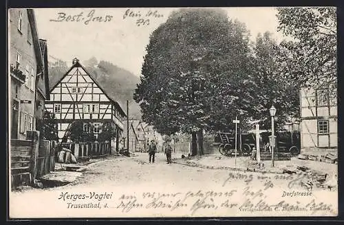 AK Herges-Vogtei /Trusenthal, Dorfstrasse mit Drogerie, Brunnen, Kutschen