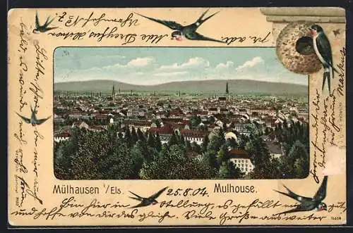 Präge-Lithographie Mülhausen i. Els., Ortsansicht aus der Vogelschau, Schwalben mit Nest