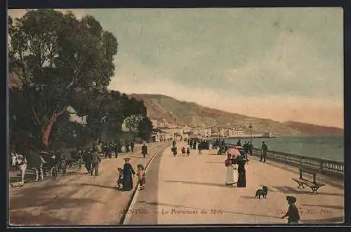 AK Menton, La Promenade du Midi