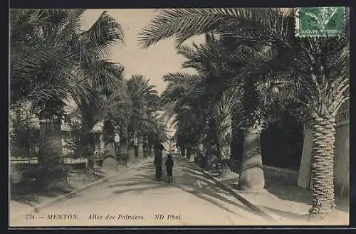 AK Menton, Allée des Palmiers