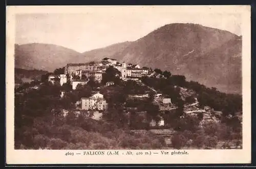 AK Falicon, Vue generale