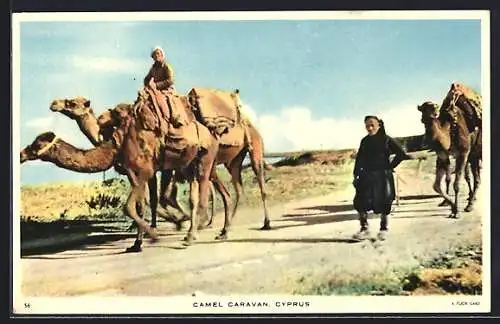 AK Cyprus, Camel Caravan