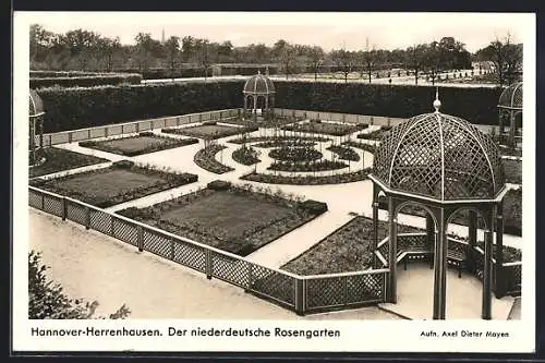 AK Hannover-Herrenhausen, Der niederdeutsche Rosengarten