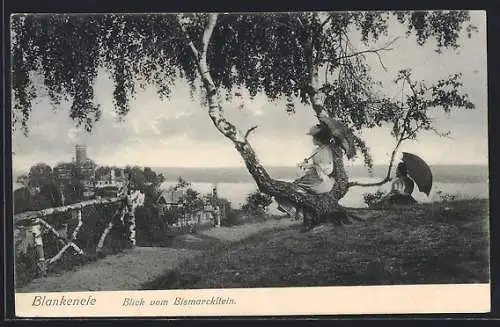 AK Hamburg-Blankenese, Blick vom Bismarckstein