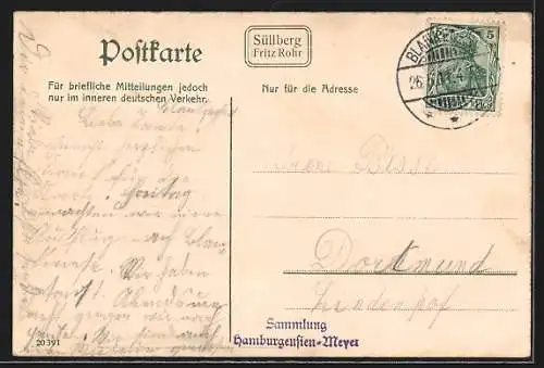 AK Hamburg-Blankenese, Ortsansicht mit Süllberg von der Elbe aus